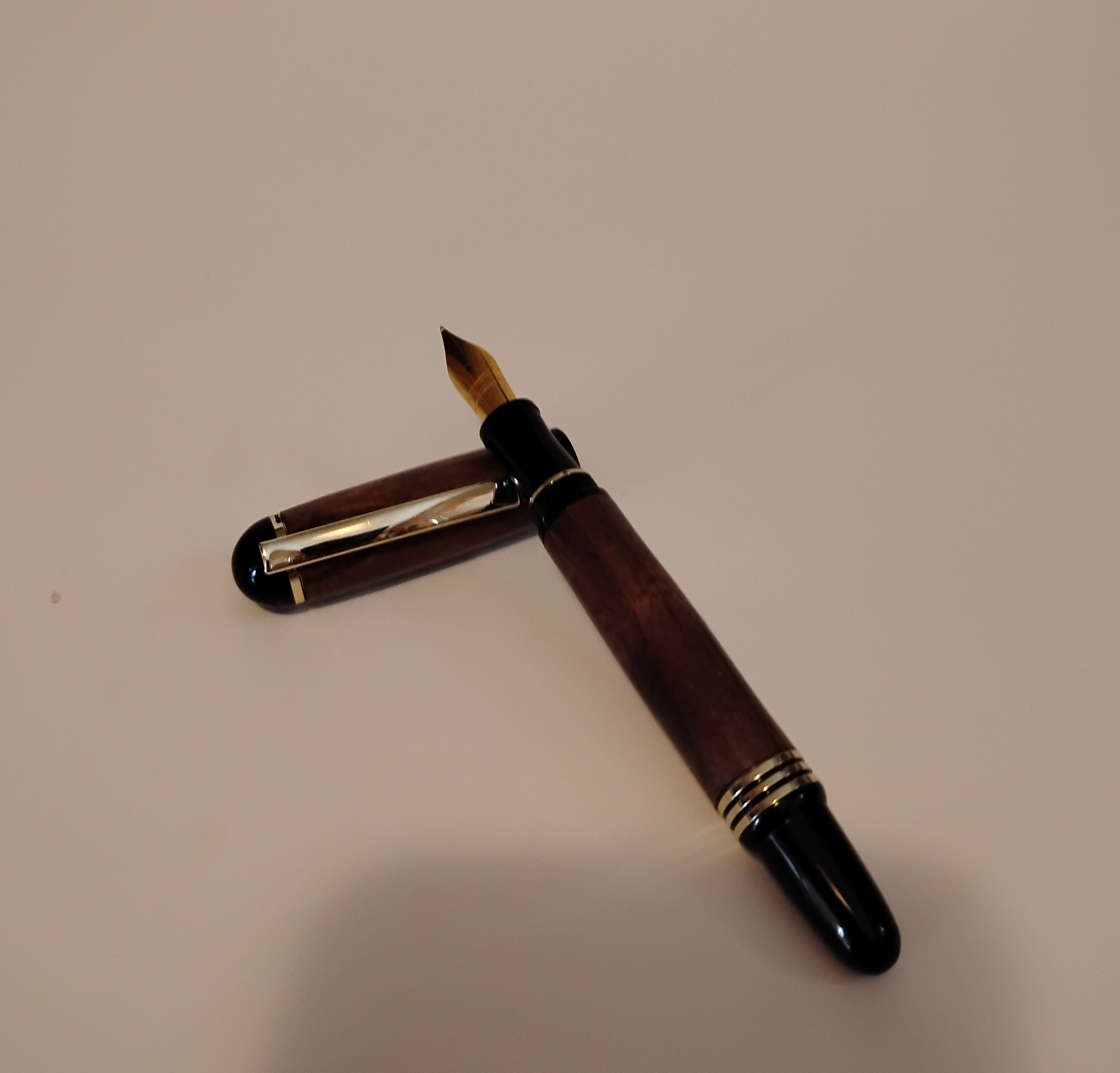 Fountain pen